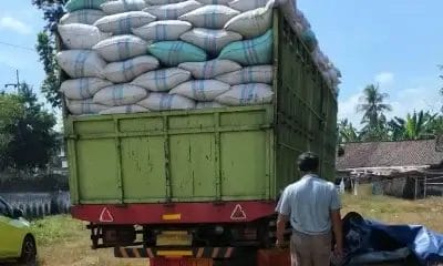 truk tembakau