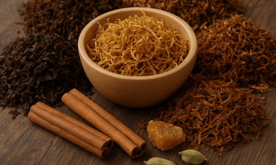 cara menanam tembakau