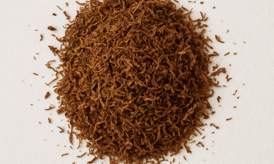 tembakau gayo