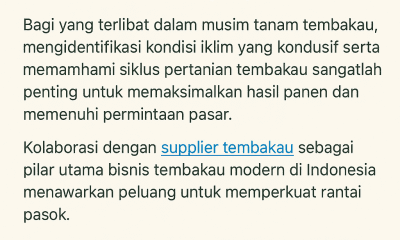 musim tanam tembakau