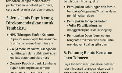 pupuk untuk tembakau