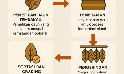 pasca panen tembakau