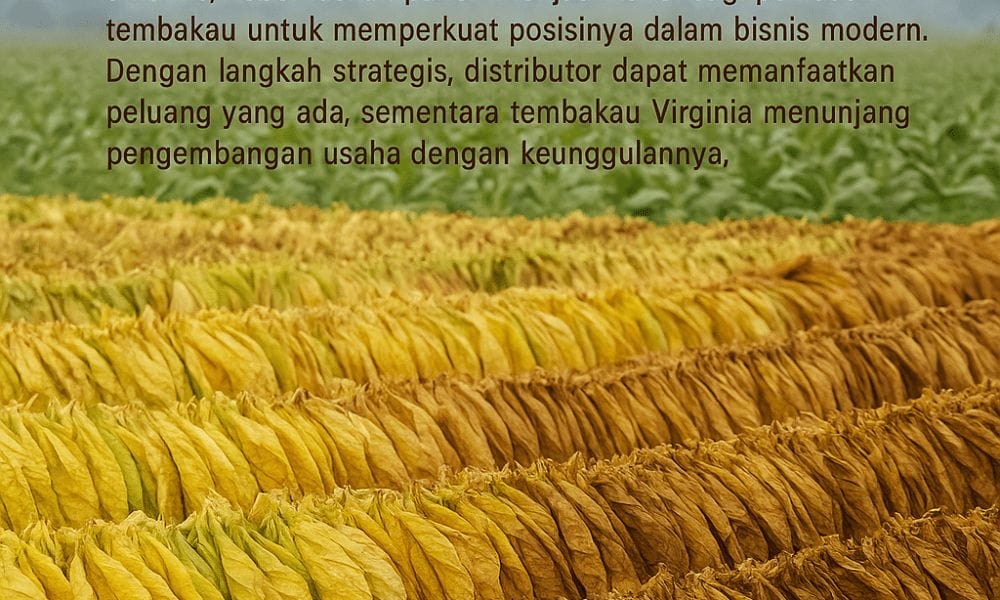 hasil panen tembakau