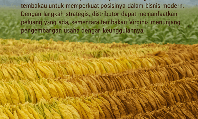 hasil panen tembakau