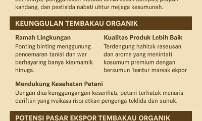 Potensi Tembakau Organik