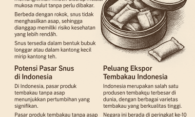 apa itu snus?