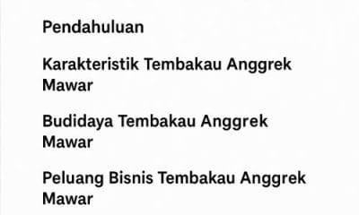 Tembakau Anggrek Mawar