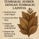 Keunggulan Tembakau Jember
