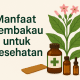 Manfaat Tembakau untuk Kesehatan