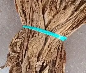 Cara Pembuatan Rokok Tembakau