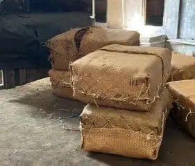 tembakau karung