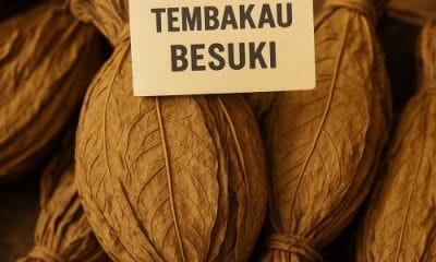 Tembakau Besuki