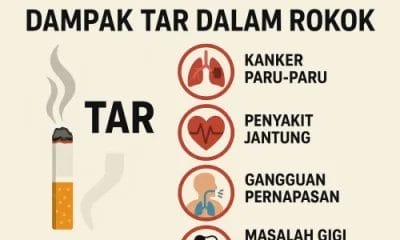 Dampak Tar